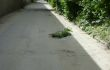 В Кишиневе неизвестные похитили крышки от канализационных люков